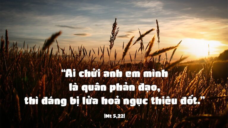 cq5dam.web.1280.1280 (3)