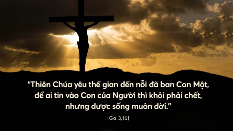 cq5dam.web.1280.1280 (1)