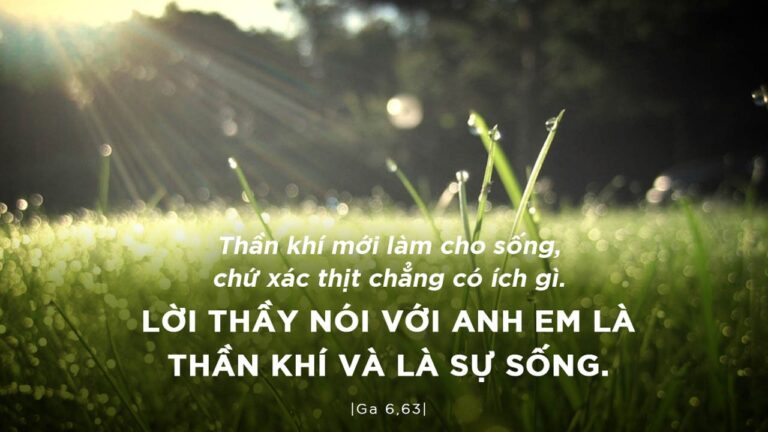 cq5dam.web.1280.1280 (2)