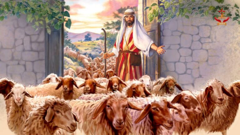 Trang chủ | Giáo Xứ Ngọc Lâm