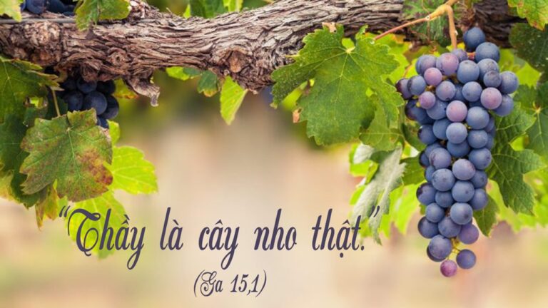 cq5dam.web.1280.1280