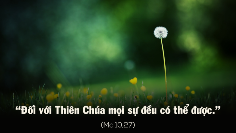 cq5dam.web.1280.1280