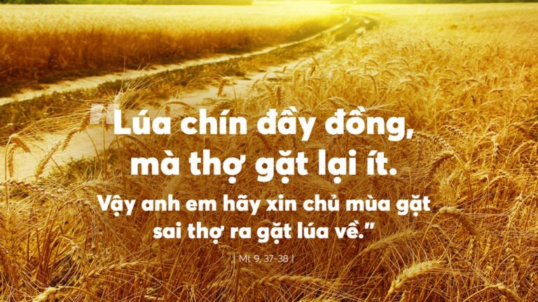 Tin Mừng và Lời Chúa ngày 06 tháng bảy 2021 - Vatican News