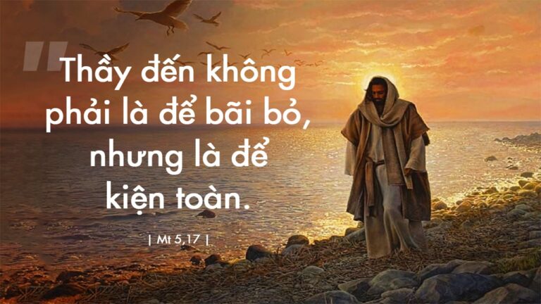 Tin Mừng và Lời Chúa ngày 09 tháng sáu 2021 - Vatican News