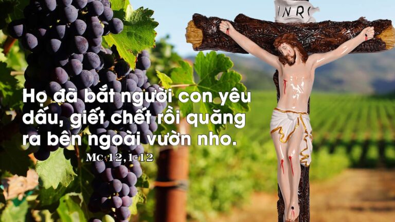 Xây dựng vườn nho Hội Thánh (05.06.2023 – Thứ Hai Tuần IX Thường Niên) –  HUYNH ĐOÀN GIÁO DÂN ĐA MINH