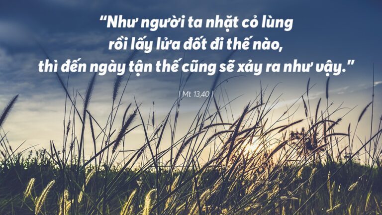 Tin Mừng và Lời Chúa ngày 26 tháng bảy 2022 - Vatican News