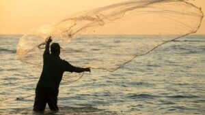 2020.07.30 Vangelo del giorno rete gettata nel mare pesca