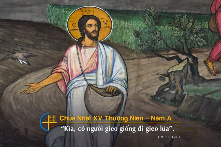 CN_XV_TN_A