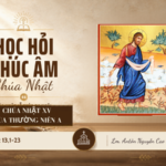 HỌC HỎI PHÚC ÂM CHÚA NHẬT_XV_TN_A