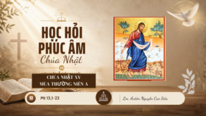 HỌC HỎI PHÚC ÂM CHÚA NHẬT_XV_TN_A