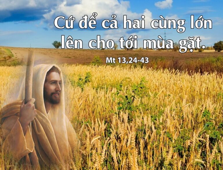 Bài hát và Suy niệm (19.07.2020 – Chúa Nhật XVI Thường Niên Năm A) – HUYNH  ĐOÀN GIÁO DÂN ĐA MINH