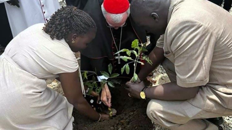 Tại Nam Sudan, ĐHY Parolin tham gia trồng cây vì hòa bình