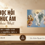 HỌC HỎI PHÚC ÂM CHÚA NHẬT_XVIII_TN_A