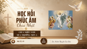 HỌC HỎI PHÚC ÂM CHÚA NHẬT_XVIII_TN_A
