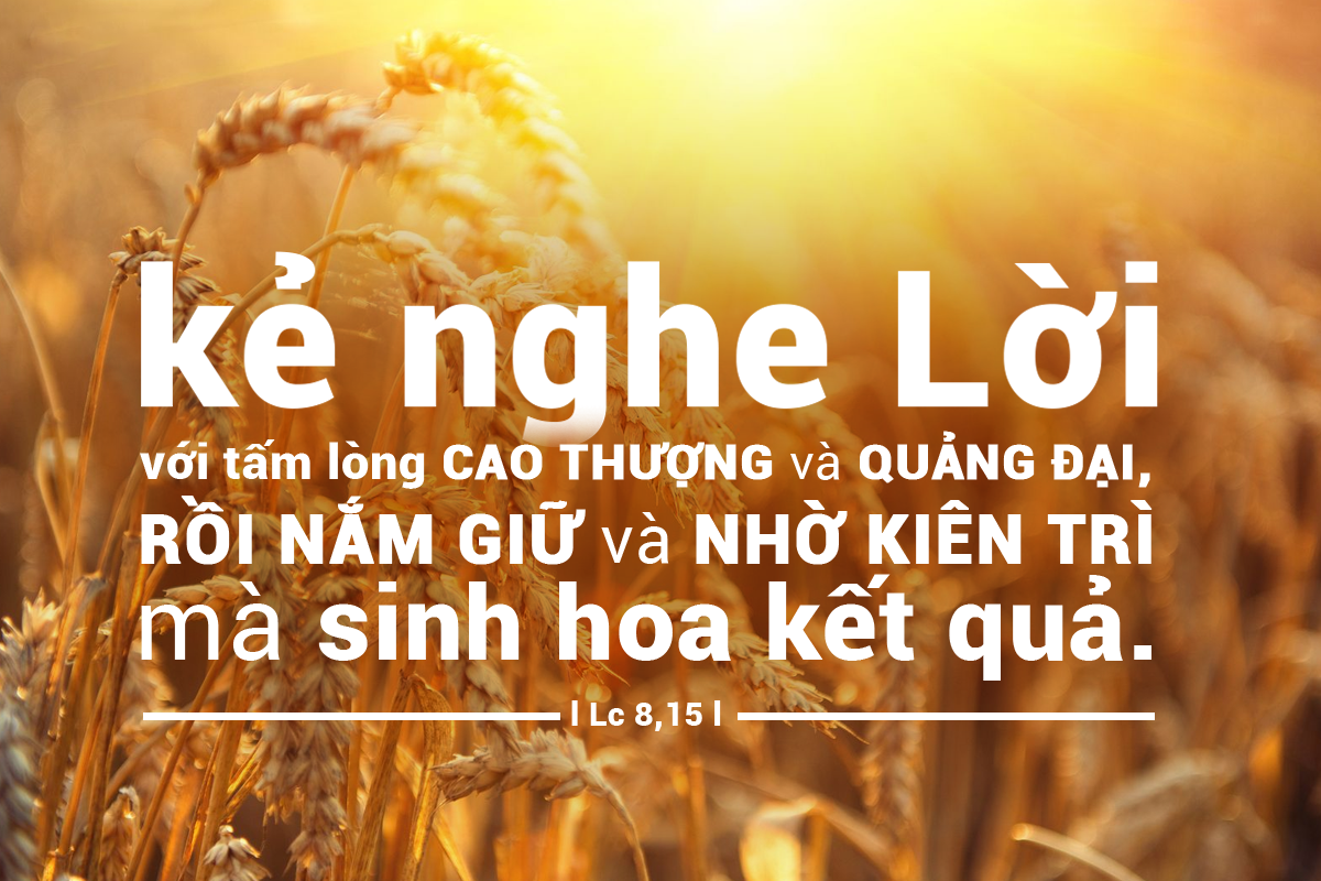 SUY NIỆM LỜI CHÚA THỨ BẢY TUẦN XXIV THƯỜNG NIÊN – GIÁO XỨ THIÊN ÂN