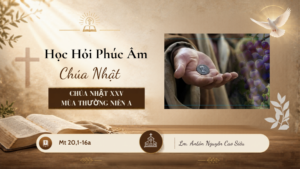 HỌC HỎI PHÚC ÂM CHÚA NHẬT_XXN_TN_A