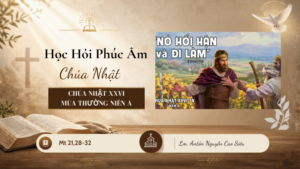 HỌC HỎI PHÚC ÂM CHÚA NHẬT_XXVI_TN_A