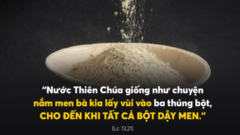 Tin Mừng và Lời Chúa ngày 26 tháng mười 2021 - Vatican News