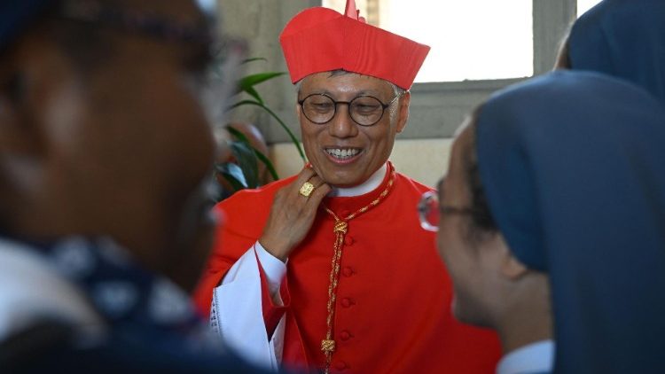 Đức tân Hồng y Stêphanô Chu Thủ Nhân, Giám mục Hồng Kông