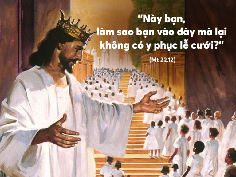 SUY NIỆM LỜI CHÚA THỨ NĂM TUẦN XX THƯỜNG NIÊN – GIÁO XỨ THIÊN ÂN