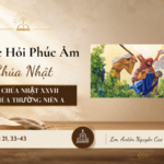 HỌC HỎI PHÚC ÂM CHÚA NHẬT_XXVII_TN_A