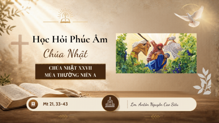 HỌC HỎI PHÚC ÂM CHÚA NHẬT_XXVII_TN_A