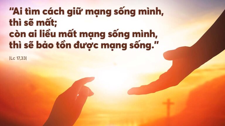 Tin Mừng và Lời Chúa ngày 12 tháng mười một 2021 - Vatican News