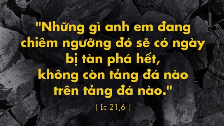 Tin Mừng và Lời Chúa ngày 23 tháng mười một 2021 - Vatican News