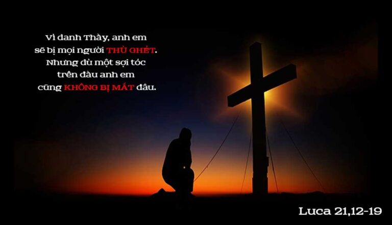 Bánh mì sáng | 23.11.2022 | Th. Clêmentê I, giáo hoàng – Th. Côlumbanô,  viện phụ – Cánh đồng truyền giáo