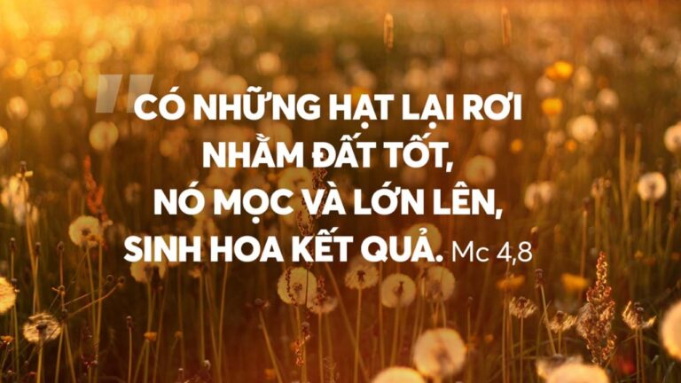 Tin Mừng và Lời Chúa ngày 26 tháng một 2022 - Vatican News