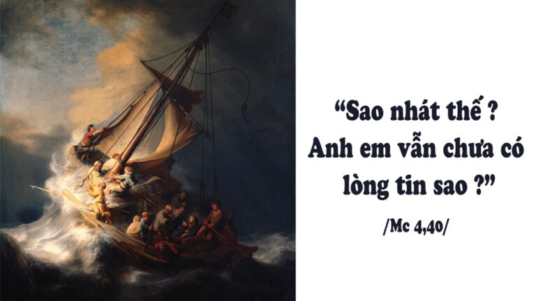 Tin Mừng và Lời Chúa ngày 20 tháng sáu 2021 - Vatican News