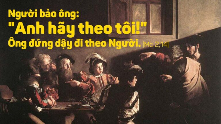 Thu_Bay_Tuan_I_TN_chan