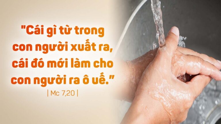 Tin Mừng và Lời Chúa ngày 09 tháng hai 2022 - Vatican News