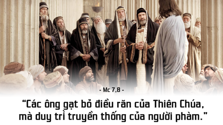 Tin Mừng và Lời Chúa ngày 29 tháng tám 2021 - Vatican News