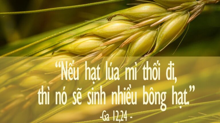 Tin Mừng và Lời Chúa ngày 21 tháng ba 2021 - Vatican News