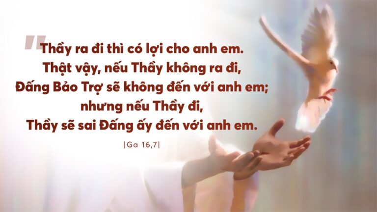 Tin Mừng và Lời Chúa ngày 11 tháng năm 2021 - Vatican News