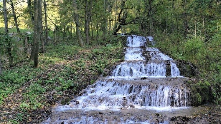 2023.07.06 NATURA, bosco, fonte