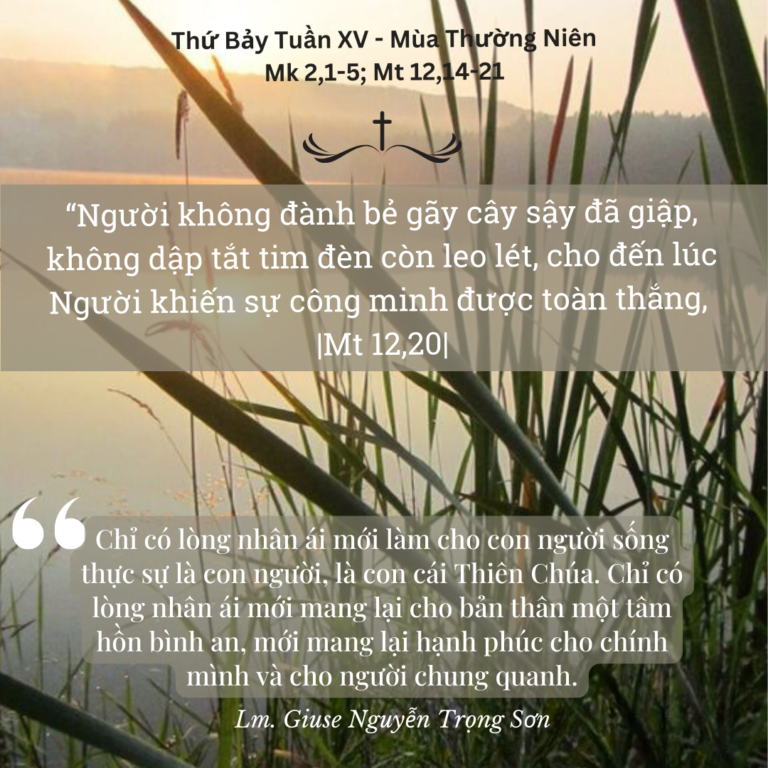 Thứ Bảy Tuần XV - Mùa Thường Niên