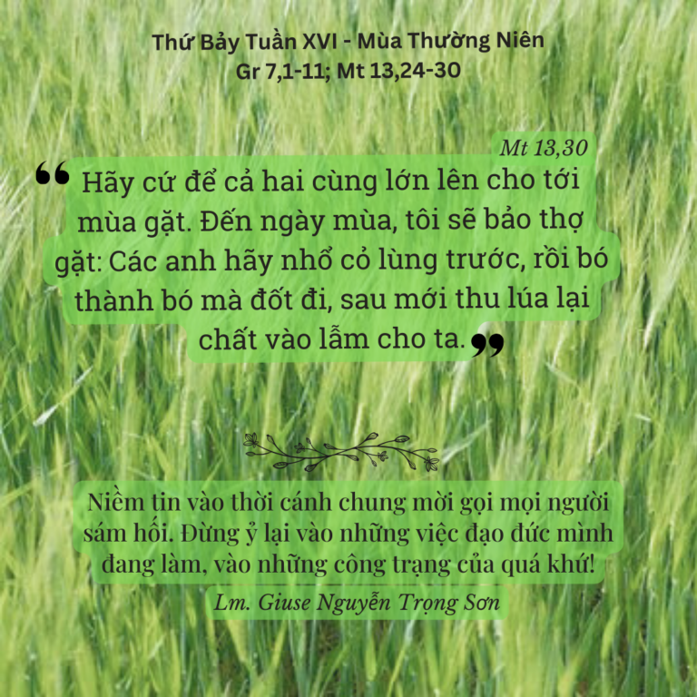 Thứ Bảy Tuần XVI - Mùa Thường Niên