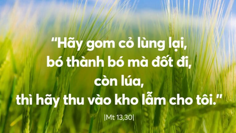 Thu_Bay_Tuan_XVI_TN_I