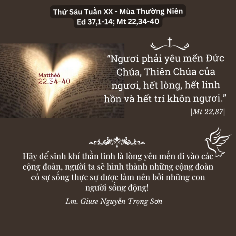 Thứ Sáu Tuần XX - Mùa Thường Niên