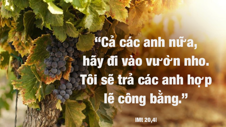 cq5dam.web.1280.1280 (1)