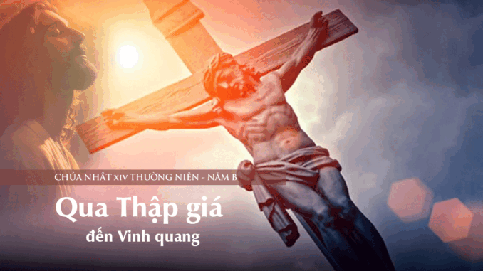CN_XXIV_TN_B