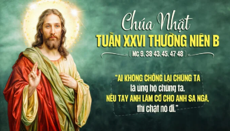 CN_XXVI_TN_B