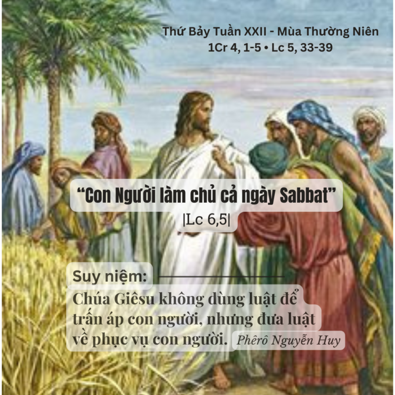 Thứ Bảy Tuần XXII - Mùa Thường Niên