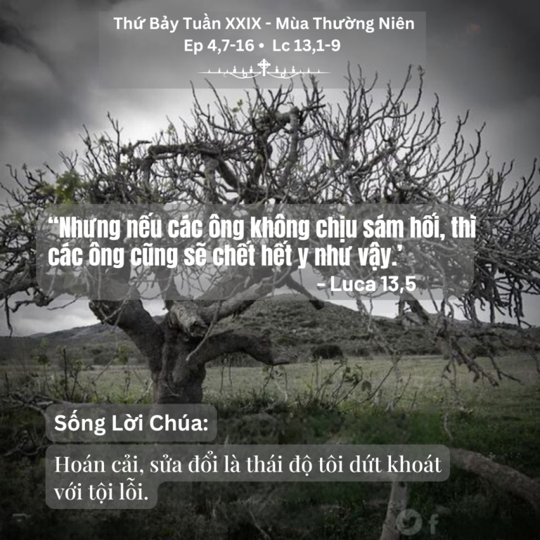Thứ Bảy Tuần XXIX - Mùa Thường Niên
