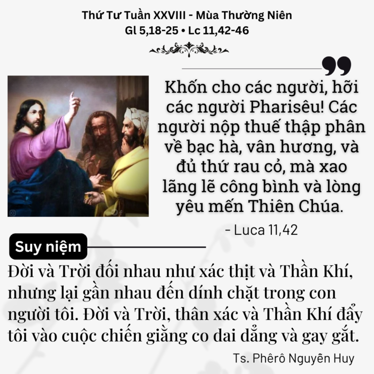 Thứ Tư Tuần XXVIII - Mùa Thường Niên
