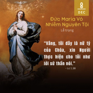 Đức Maria Vô Nhiễm Nguyên Tội