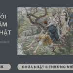 HH_PA_CN_VIII_TN_C