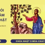 HỌC HỎI PHÚC ÂM CHÚA NHẬT III MÙA CHAY NĂM C